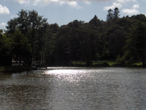 Slottsskogsparken