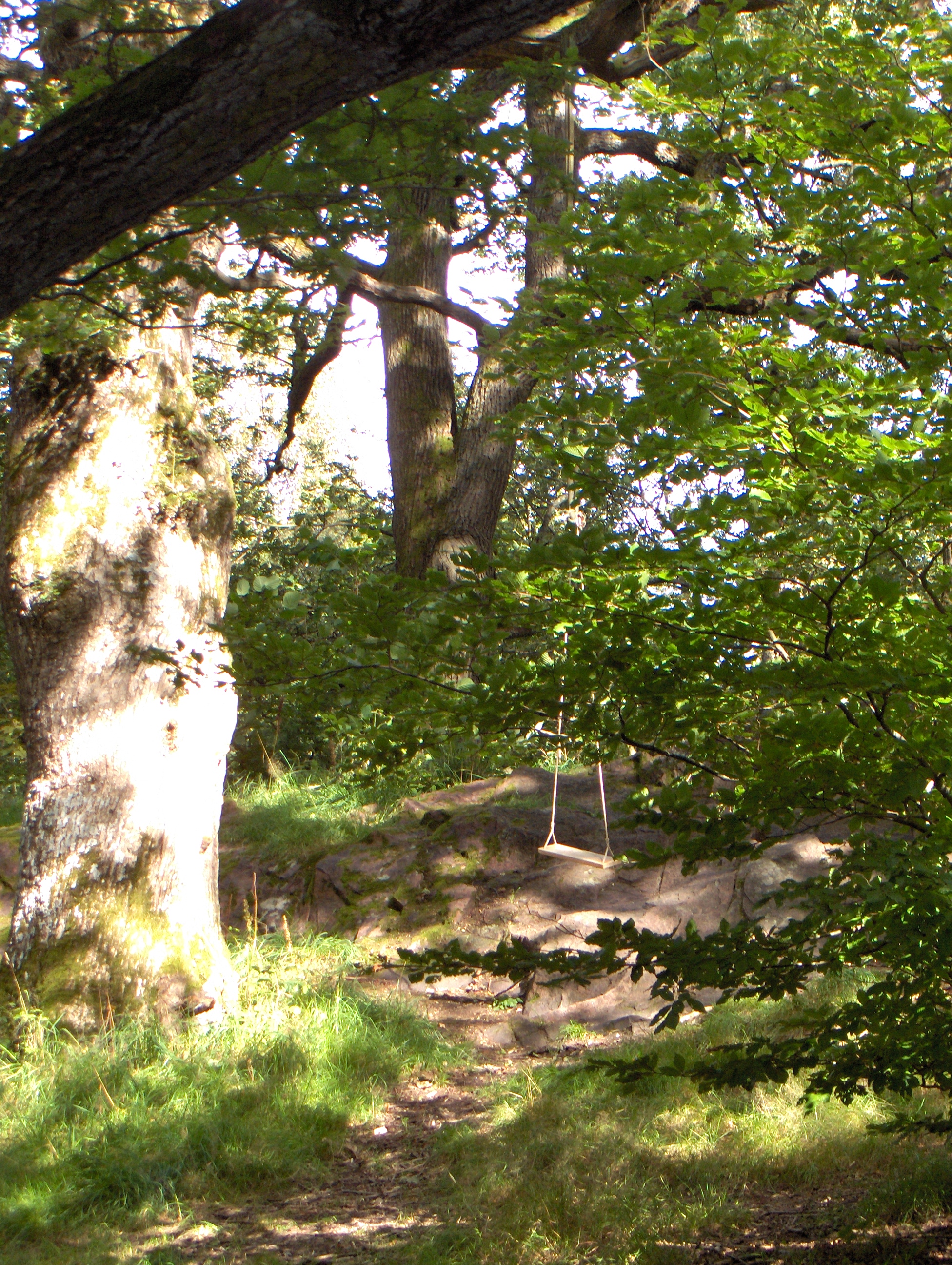 Slottsskogsparken: Un petit chemin... avec une balancoire au bout