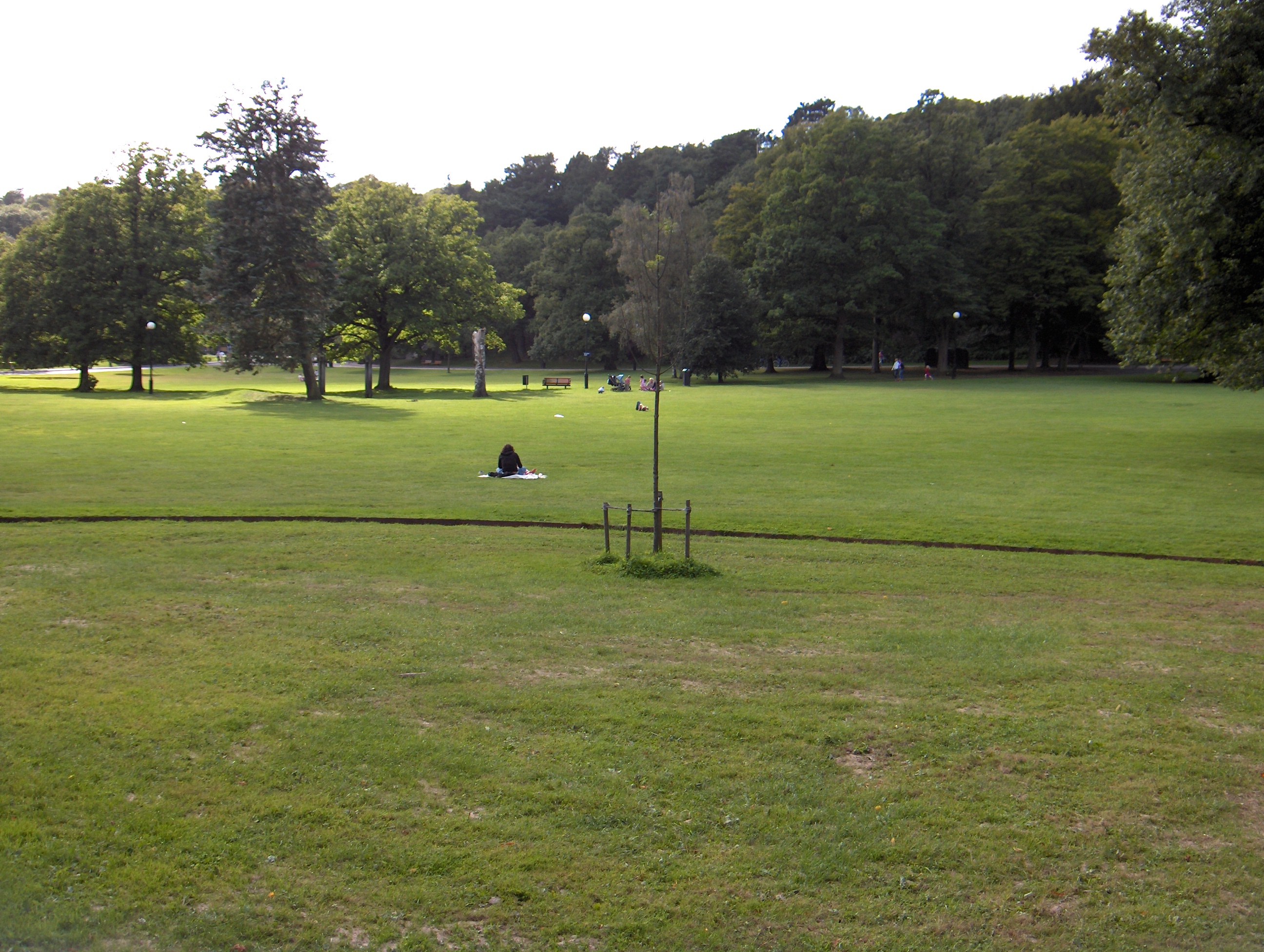 Slottsskogsparken