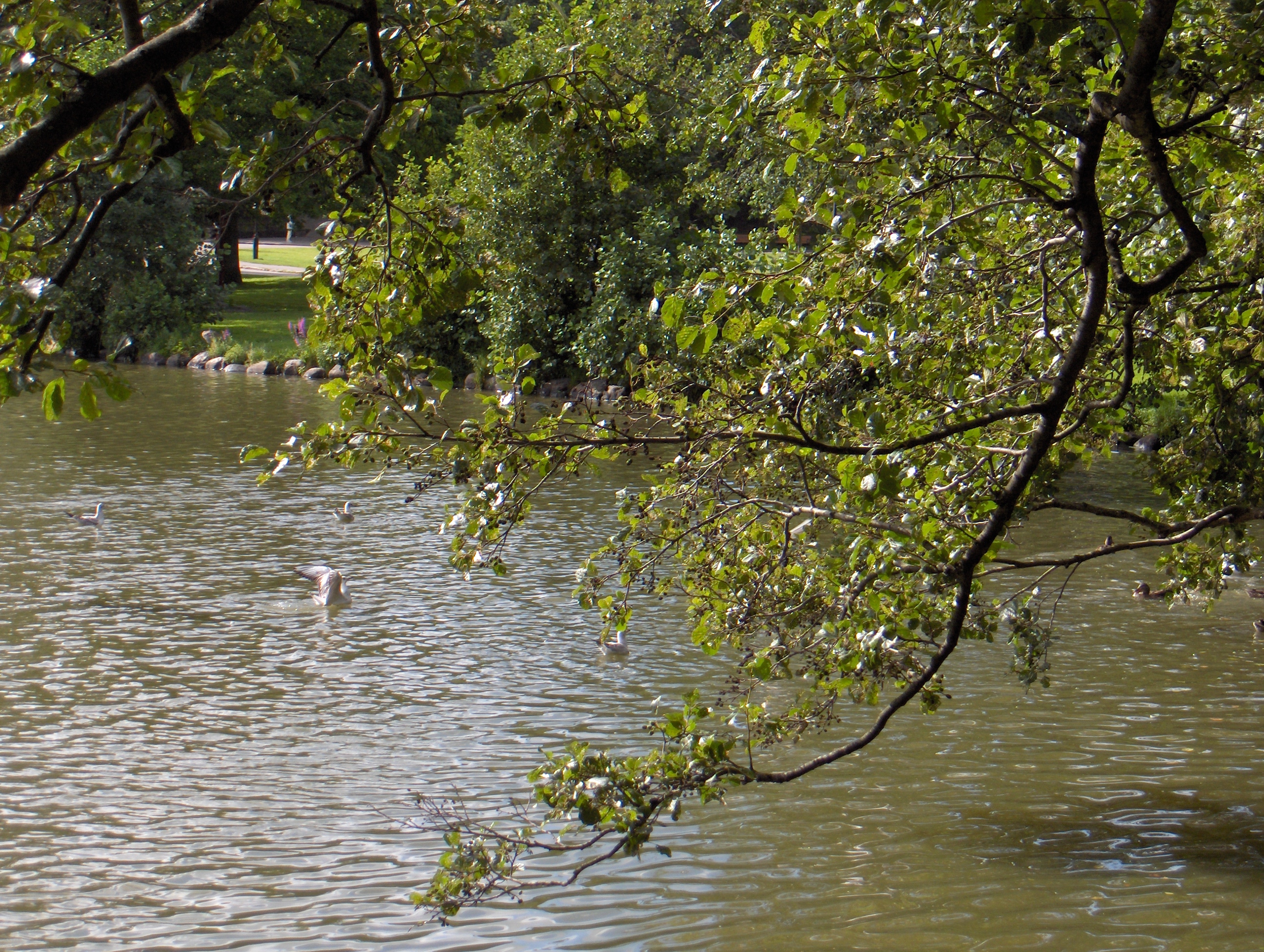 Slottsskogsparken